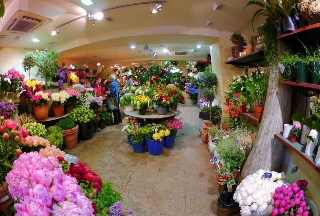 花店ky体育(中国)官方网站效果图 花店ky体育(中国)官方网站效果图