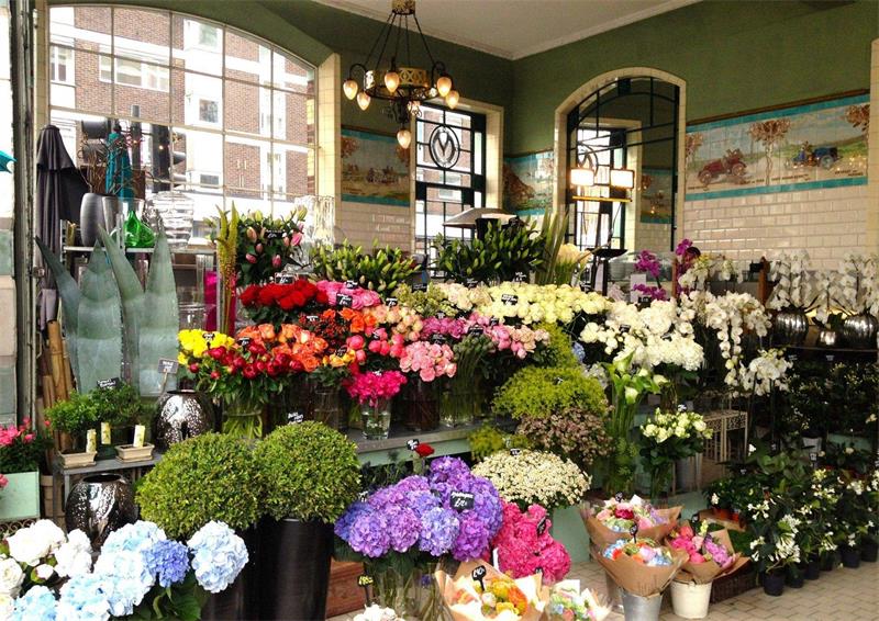 花店ky体育(中国)官方网站效果图 花店ky体育(中国)官方网站效果图